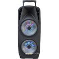 Professional Double 10inche Big Power Recharged Bluetooth Loudspeaker for Stage Party Karaoke 80W F73D